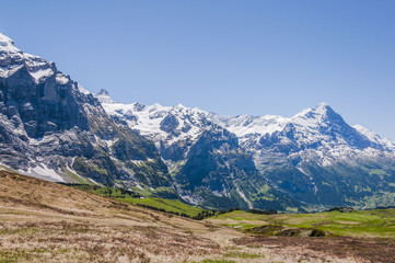 Grindelwald, Berner Oberland, Alpen, Schweizer Berge, Eiger, Schreckhorn, Wetterhorn, Grosse Scheidegg, Wanderweg, Schweizer Berge, Sommer, Schweiz