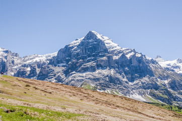 Grindelwald, Dorf, Berner Oberland, Wetterhorn, Grosse Scheidegg, Wanderweg, Wanderferien, Schreckfeld, Alpen, Schweizer Berge, Sommer, Schweiz