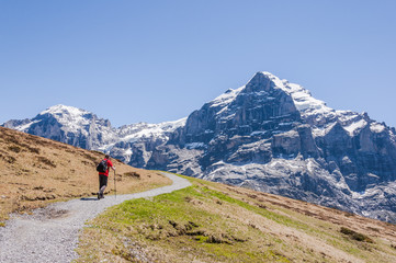 Grindelwald, Berner Oberland, Grosse Scheidegg, Wanderweg, Wanderer, Wetterhorn, Engelhörner,...
