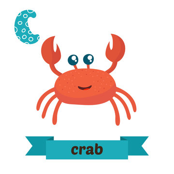Crab. C letter. Cute children animal alphabet in vector. Funny c