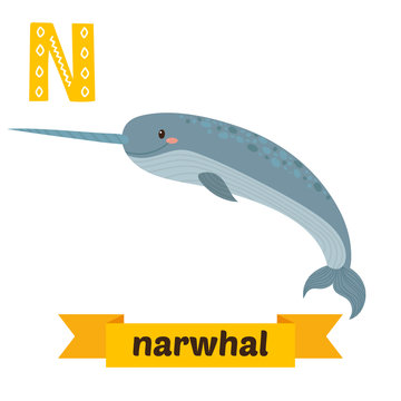 Narwhal. N letter. Cute children animal alphabet in vector. Funn