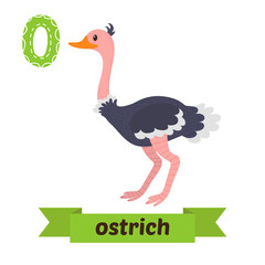 Obraz premium Ostrich. O letter. Cute children animal alphabet in vector. Funn