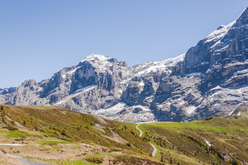 Fototapeta na wymiar Grindelwald, Berner Oberland, Engelhörner, Wetterhorn, Alpen, Grosse Scheidegg, Wanderweg, Höhenweg, Sommer, Schweiz