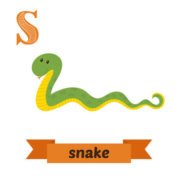 Snake. S letter. Cute children animal alphabet in vector. Funny