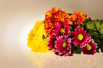 Beautiful bouquet of chrysanthemums isolated