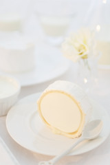 Fototapeta na wymiar a piece of goat cheese on a white plate. Photo dairy product in a light key. still life in white.