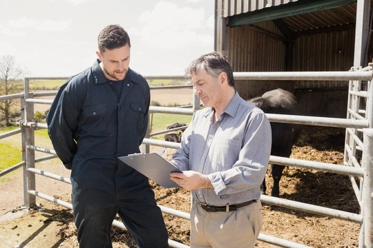 Vet and farm worker discussing over clipboard