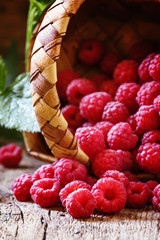 Fresh raspberries, selective focus