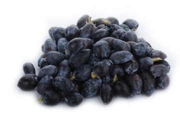 honeysuckle isolated