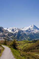 Fototapeta na wymiar Grindelwald, Berner Oberland, Alpen, Schweizer Berge, Eiger, Schreckhorn, Grosse Scheidegg, First, Höhenweg, Sommer, Schweiz
