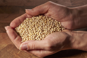 grain in hands