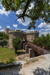 Fototapeta na wymiar Old fortress wall and nature