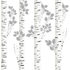 Printed kitchen splashbacks Birch trees White birch background