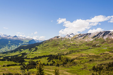 Grindelwald, Berner Oberland, First, Schreckfeld, Alpen, Wanderweg, Höhenweg, Grosse Scheidegg, Sommerwanderung, Schweizer Berge, Sommer, Schweiz