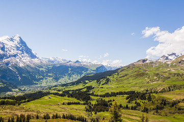 Fototapeta na wymiar Grindelwald, Berner Oberland, First, Waldspitz, Bergbahn, Eiger, Kleine Scheidegg, Wanderweg, Wanderferien, Alpen, Sommer, Schweiz