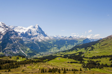 Grindelwald, Alpen, Berner Oberland, Eiger, M&ouml;nch, Jungfrau, Lauberhorn, First, H&ouml;henweg, Wanderweg, Grosse Scheidegg, Schweizer Berge, Sommer, Schweiz