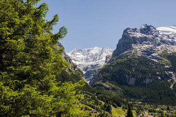 Fototapeta na wymiar Grindelwald, Bergdorf, Dorf, Gletscher, Alpen, Schweizer Berge, Berner Oberland, Wanderferien, Wanderweg, Sommer, Schweiz