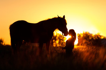 Beautiful silhuette of girl and horse at sunset 