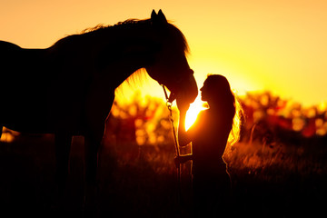 Naklejka premium Piękny silhuette dziewczyny i konia o zachodzie słońca
