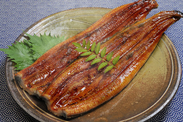 鰻の蒲焼き