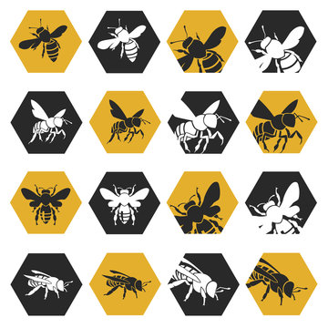 collection with silhouettes of bees on honeycomb background