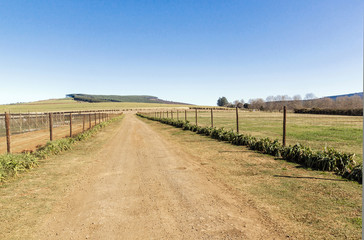 Fototapeta na wymiar Fenced Rural Farm Dirt Road Running Next to Meadow