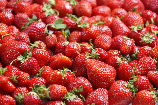Deluxe Strawberry. Close up, high resolution product. Harvest Concept