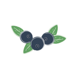 blueberries watercolor vector illustration
