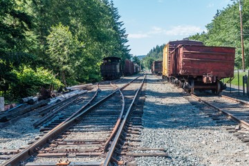 Obraz premium Old Trains On Tracks