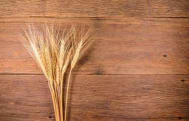 Barley grain on wooden table