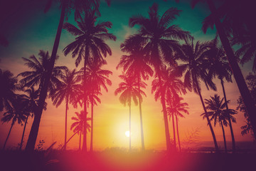 Silhouette Kokospalmen am Strand bei Sonnenuntergang. Vintage-Ton. © nuttawutnuy