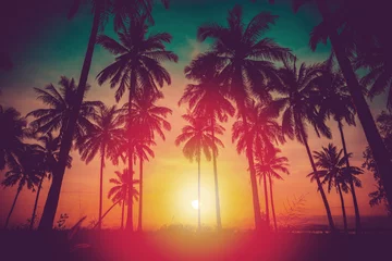 Foto op Plexiglas Palmboom Silhouet kokospalmen op het strand bij zonsondergang. Vintage toon.