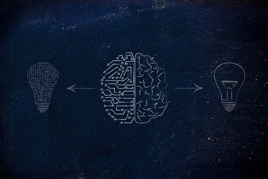 Human & Circuit Brain Having Different Types Of Ideas