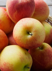 Apple fruit group