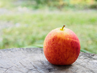 Apple fruit