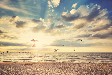 Retro toned beach at sunset with flying birds. - obrazy, fototapety, plakaty