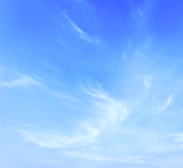 World environment day concept: Abstract white cloudy and blue sky in sunny day.