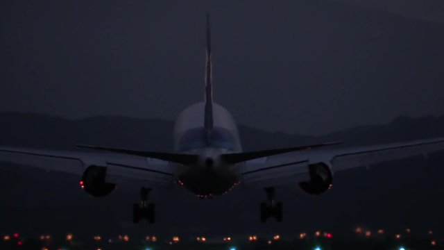 飛行機の着陸　Airliners Landing