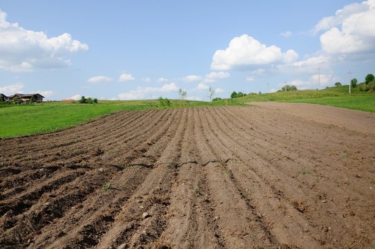 rural agricultural landscape