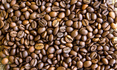 Chicchi di Caffè tostati