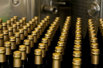 Bottiglie di vino / Bottles of wine