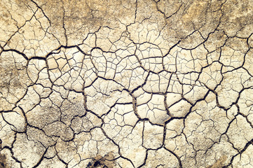 Closeup of dry soil.