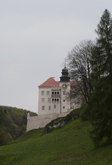 Fototapeta premium Pieskowa Skala Castle
