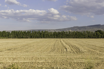 Fototapeta na wymiar view of a landscape of fields cultivated captured from a car 