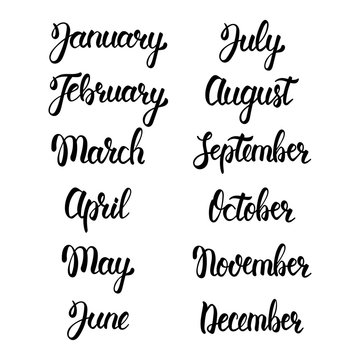 Brush handwritten months of the year. Hand lettering names of months. Calligraphic isolated set in black ink. Vector