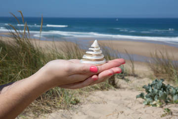 Attractive brunette woman on beach with a cockleshell in hands