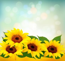 Obraz premium Sunflowers Background With Sunflower And Leaves. Vector.