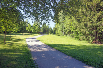 Fototapeta na wymiar Asphaltierter Weg in den Park