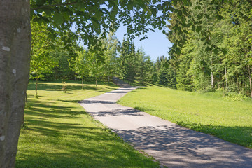 Asphaltierter Weg in den Park