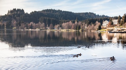 Holiday in Germany - Lake Titisee, Black Forest